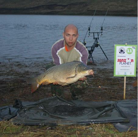 Diverse Partide - sarulesti 2.jpg